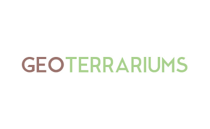 GeoTerrariums.com Geometric Terrariums